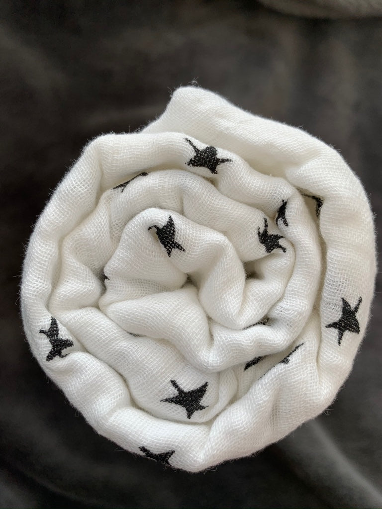 Twinkle, twinkle little star